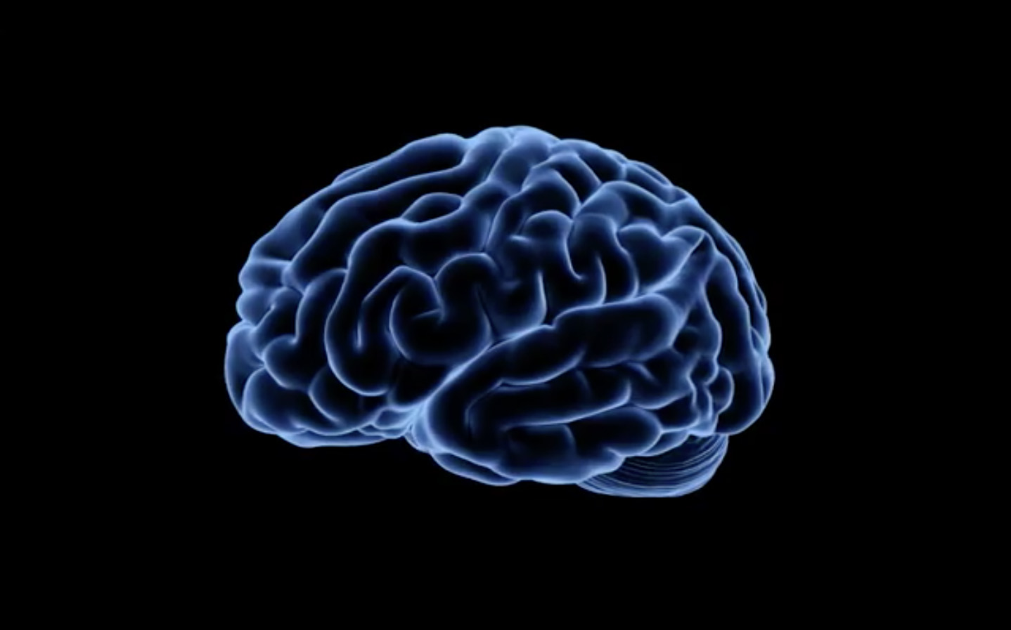 genius gyms lower brain image train your brain brain exercise